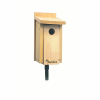 Audubon Bluebird House