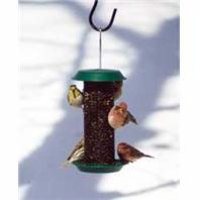 Minimag1 Magnum Sunflower Bird Feeder