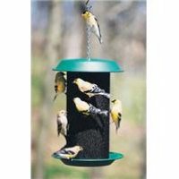 Magnum Thistle Seed Wild Bird Feeder