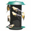 Magnum Thistle Seed Wild Bird Feeder