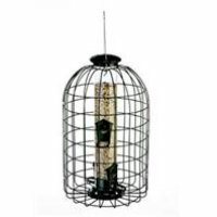 Audubon Squirrel Proof Bird Feeder