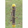 Thistle Spiral Finch Feeder Yellow 17.5 In