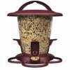 Dine Seed Feeder