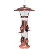 Radiant Finch Feeder