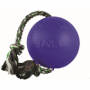 Jolly Pets Romp N Roll Ball 4.5In Blue