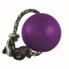Jolly Pets Romp N Roll Ball 4.5In Purple