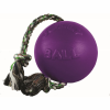 Romp N Roll Dog Toy 6In Purple