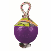 Romp N Roll Dog Toy Purple 8 In