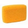 Hydra All Purpose Sponge Small