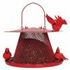 Cardinal No No Bird Feeder Red