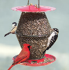 Sunflower Lantern Feeder Red - Black 1.7 Lb Capacity