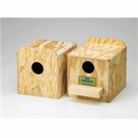 Wood Nesting Box Lovebird Type Regular