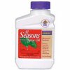 All Season Horticultural Spray Oil Concentrate 1 Pt