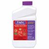 Eight Insect Control Spray Concentrate 1 Qt