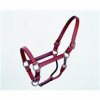 Halter-Leather Halter Yearling