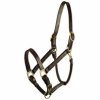 Halter - Leather Halter Gatsby Adjustable