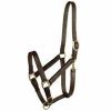 Halter - Leather Halter With Snap Suckling