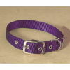 Dog Collars