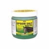 Horse Epsom Salt Poultice