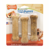 Nylabone Dog Treat Healthy Edibles Puppy Bone Lamb Apples Reg