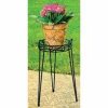 Canterbury Plant Stand 21 In Black