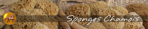 Sponges Chamois and Grooming Aids