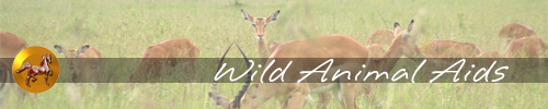 Wild Animal Aids