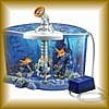 Aquariums Heaters Chillers Accessories