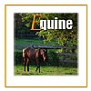 Equine Products