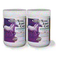 Ramard Equine Total Joint Care With Hyaluronic Acid Case Of 6